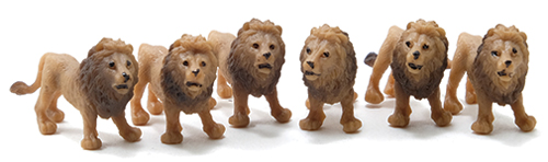 Lion, 6pc